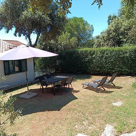 Appartamento Garden Pjescana Uvala Esterno foto