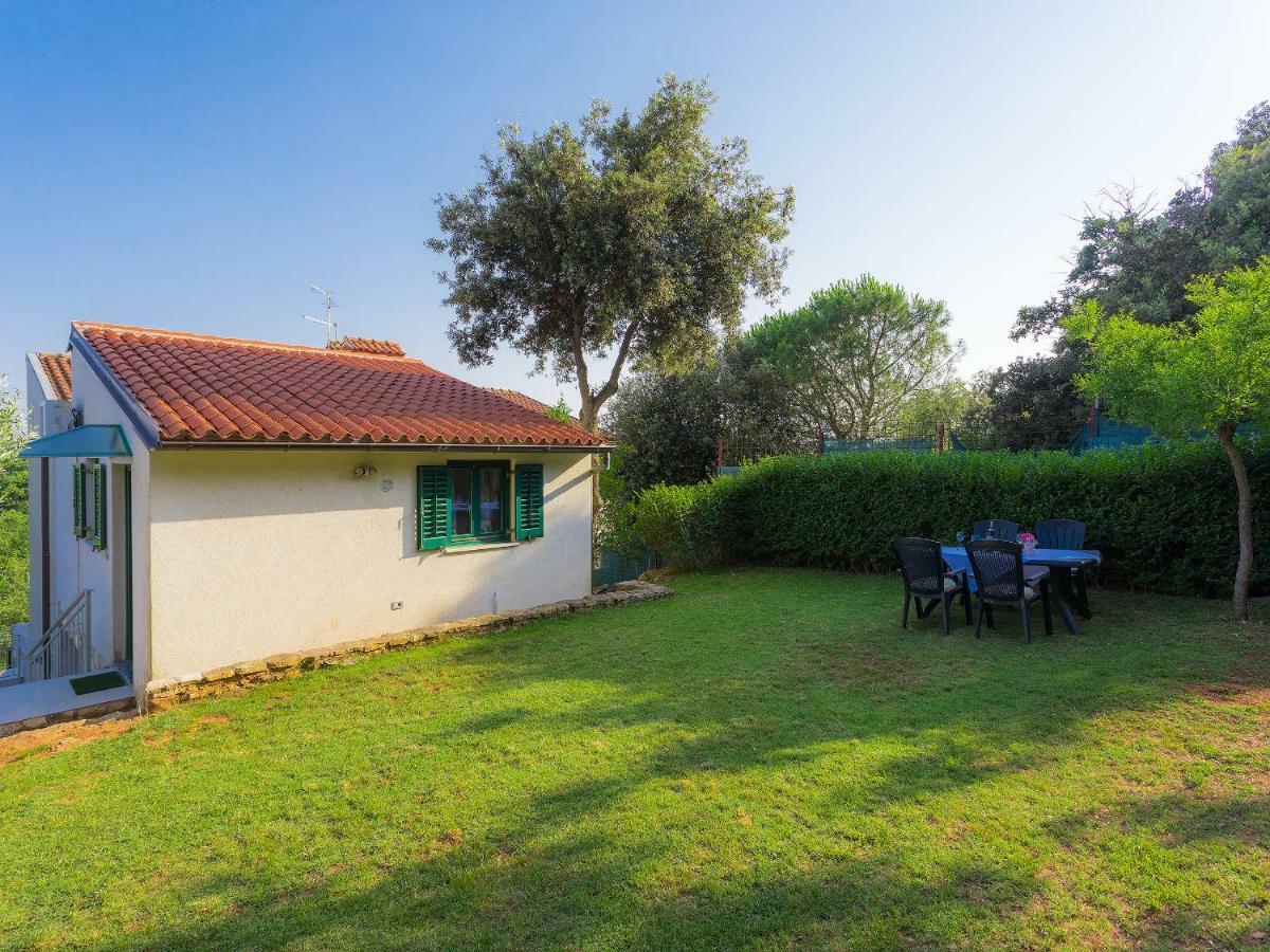 Appartamento Garden Pjescana Uvala Esterno foto